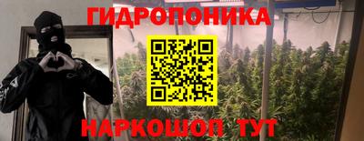 ПСИЛОЦИБИНОВЫЕ ГРИБЫ Канаш