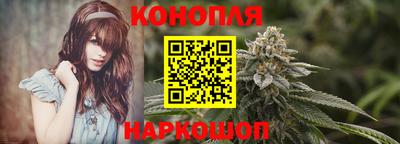 mdpv Камышлов