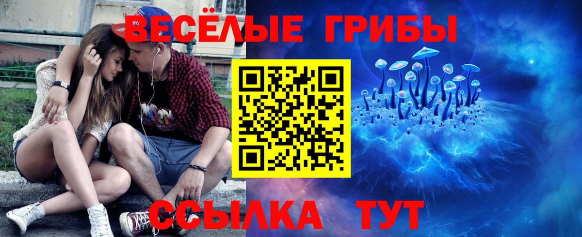 Псилоцибиновые грибы прущие грибы  Вход с VPN  Кумертау 